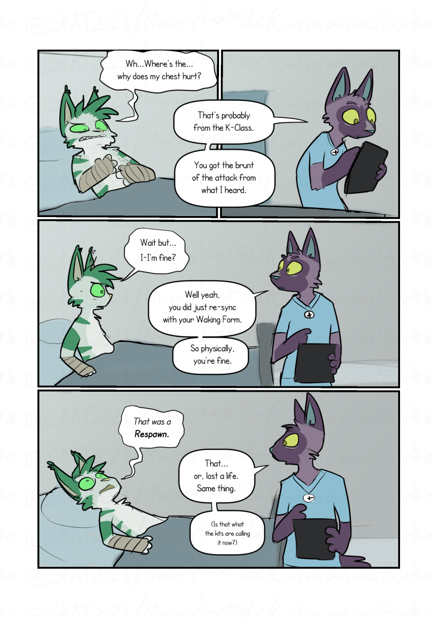 CH8 Page 13